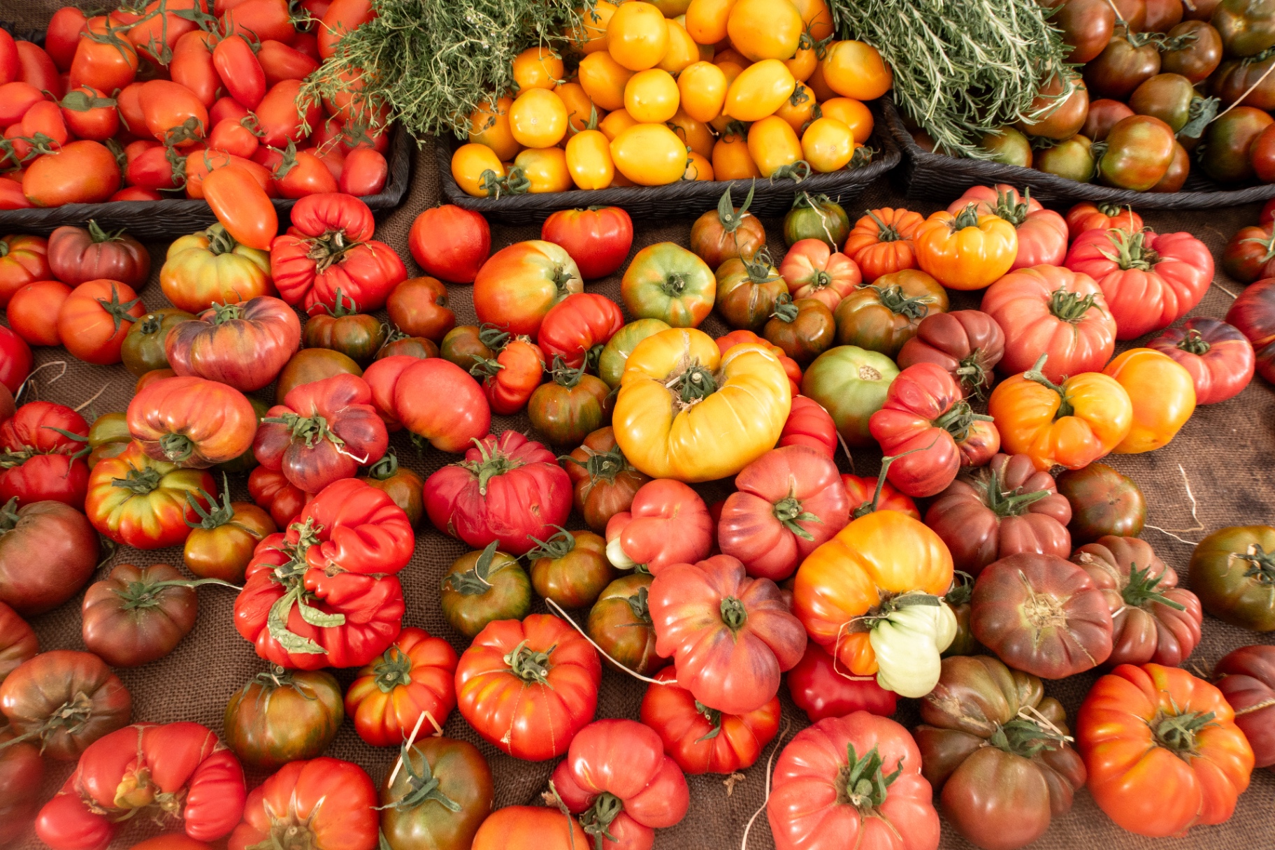 Heirloom tomatoes at a British market stall